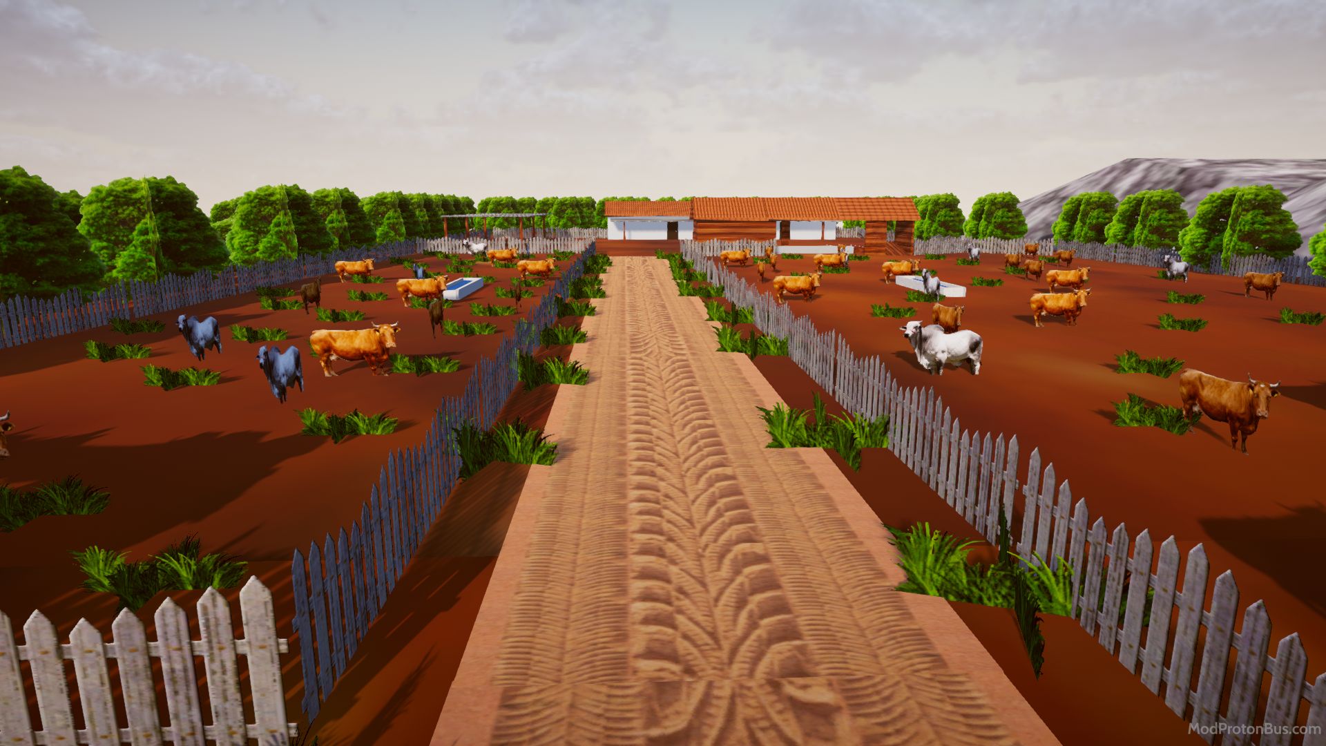 Foto dari Sao Diego 7